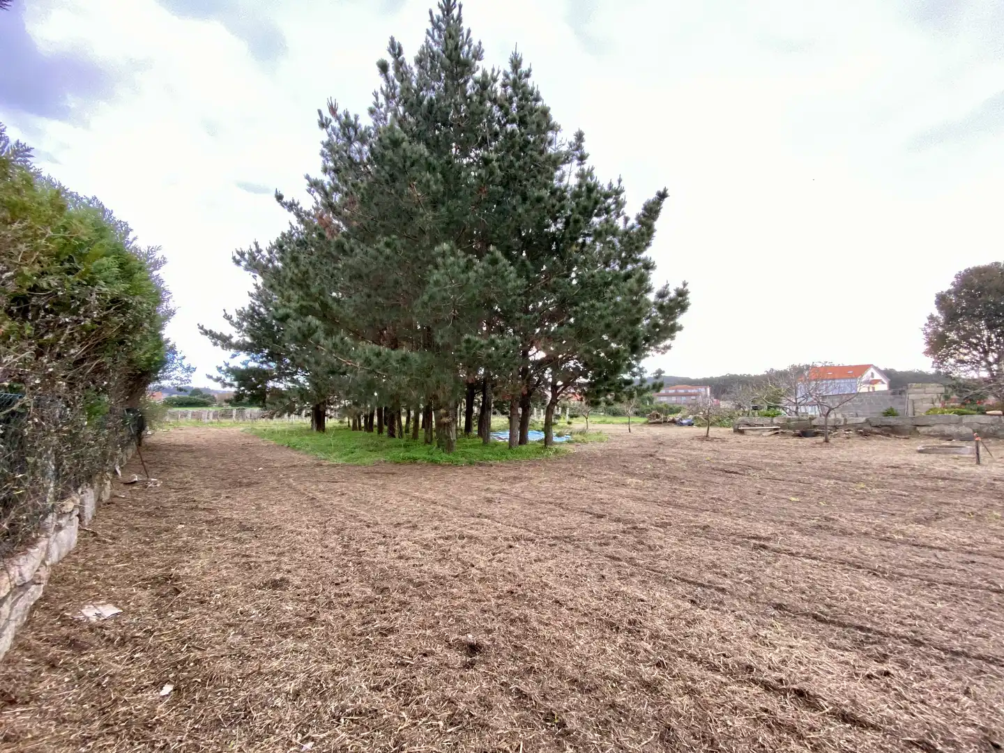 Maison avec jardin à vendre à Rúa Boibas, imagen 14