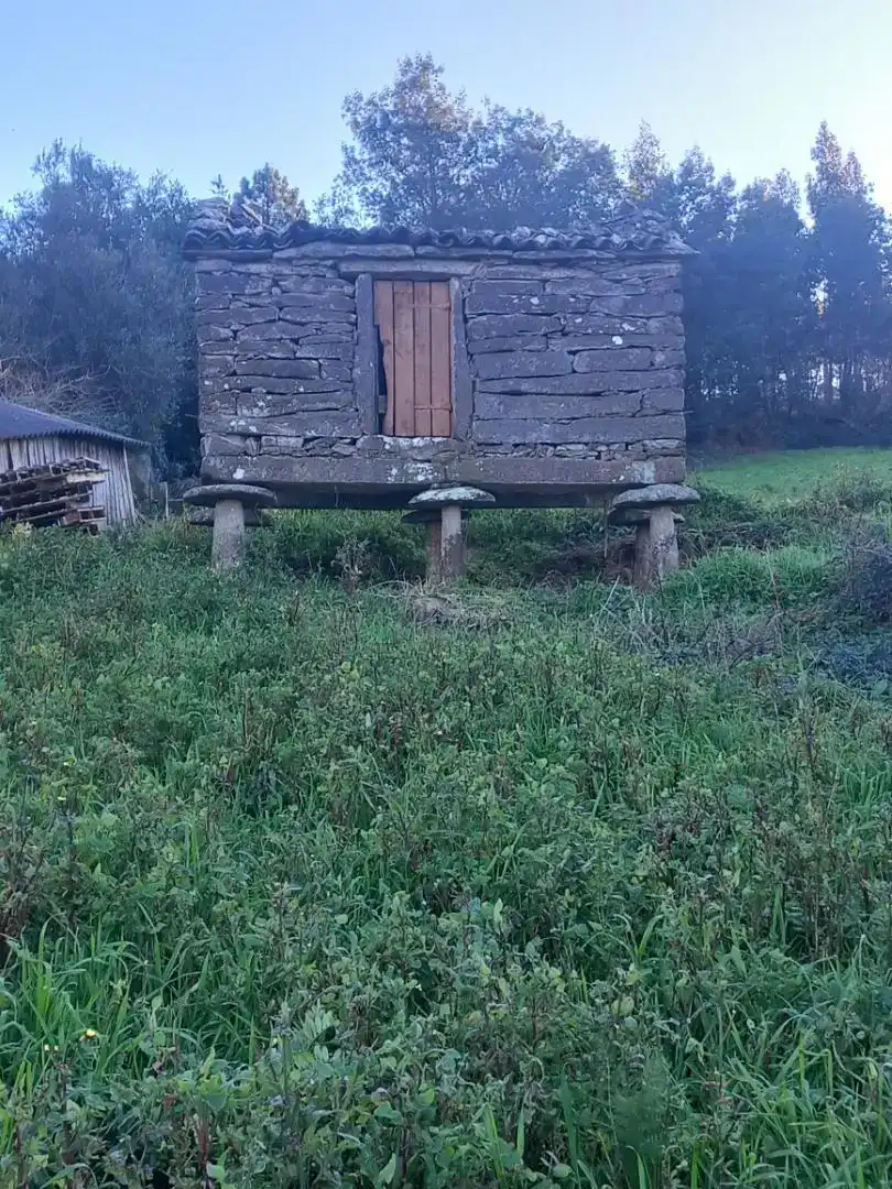 Vista exterior de Finca rústica en venta en Zas