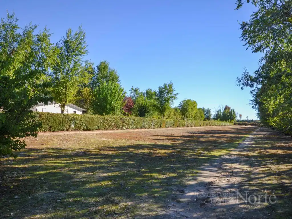 Casa o chalet en venta en Fuente El Saz de Jarama, Madrid