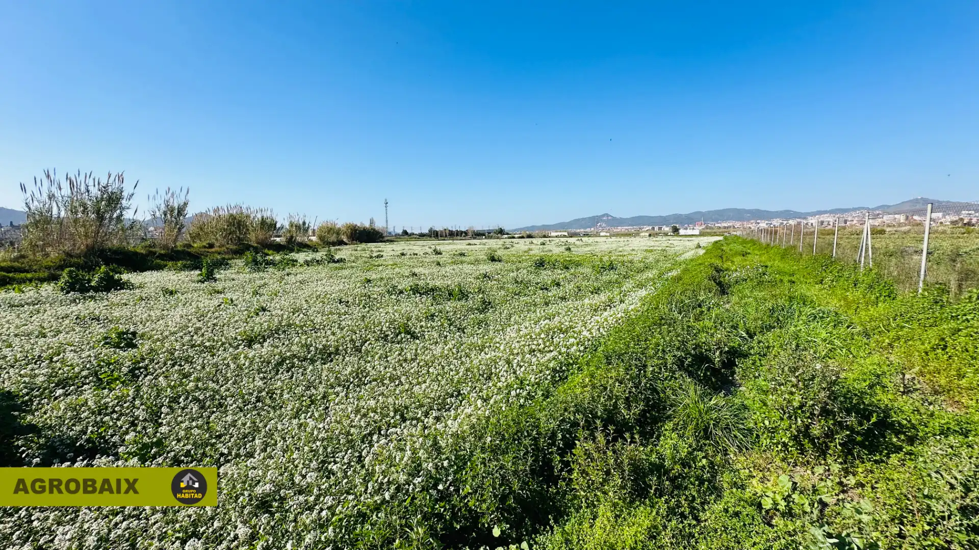 Rural land for sale in Vinyets - Molí Vell, imagen 21