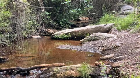 Photo 5 of Country house for sale in Calle Ermita, 10, Paterna del Río, Almería