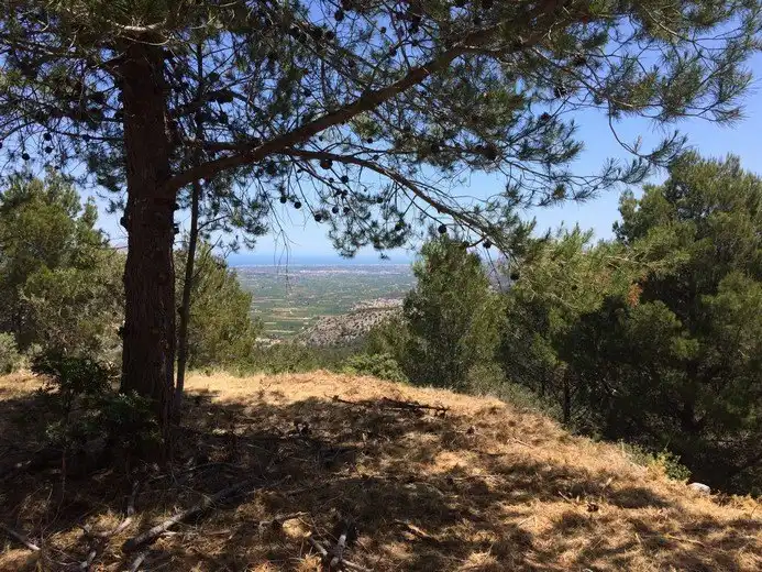 Terreny residencial en venda a La Vall de Laguar, imagen 5