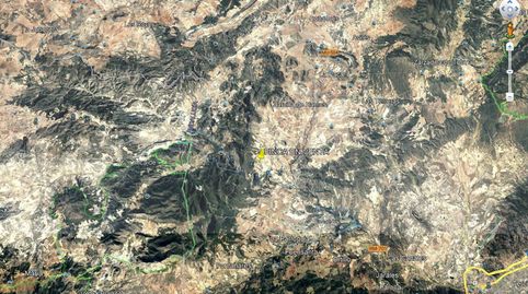 OLIVAR SECANO Y CEREAL, imagen 5
