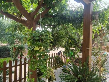 Casa rustica con giardino in vendita a Llevant
