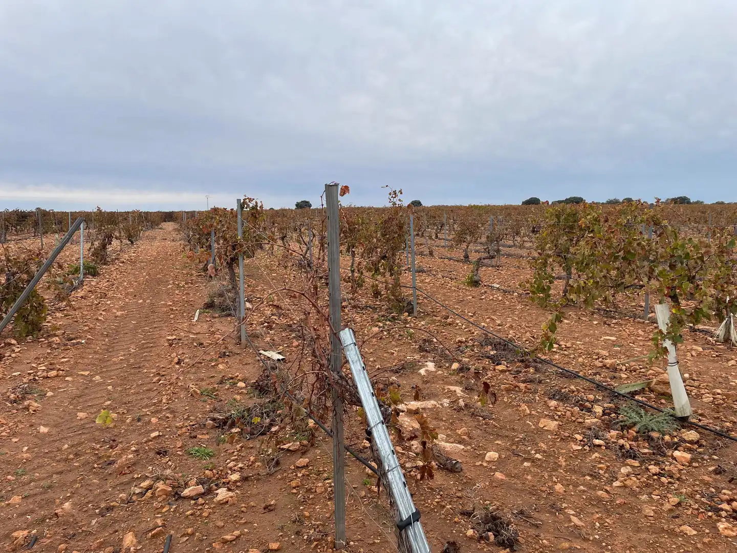 Terreno rustico in vendita a TO-2999 5, imagen 17