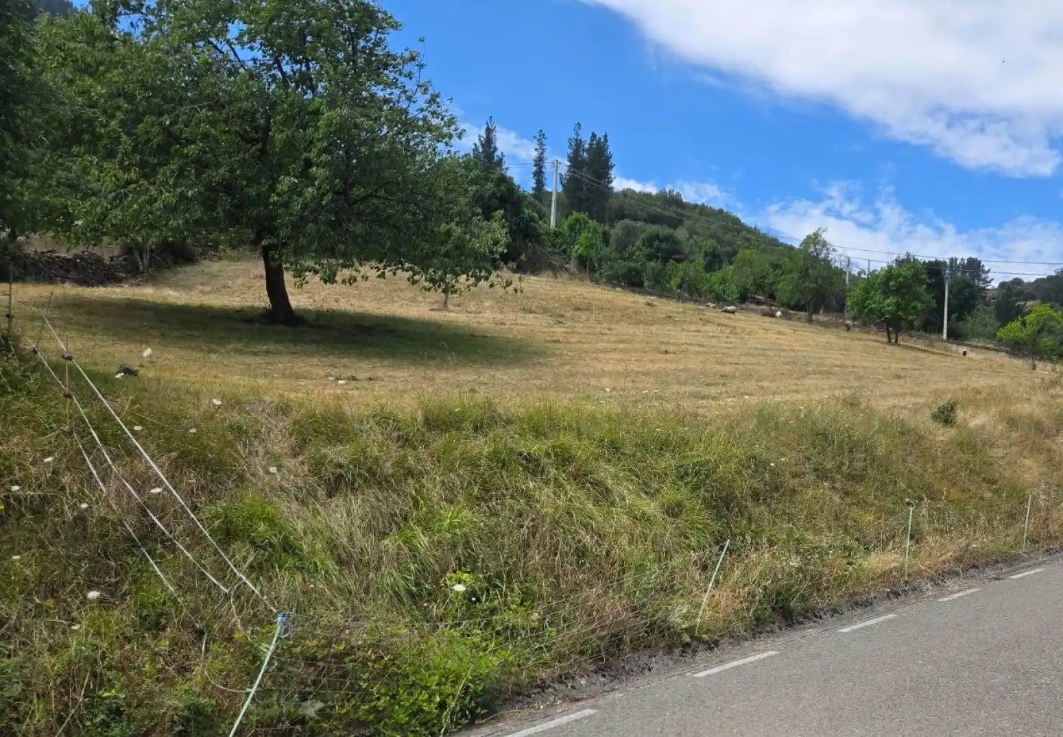 Terreno rustico in vendita a Cabezón de Liébana - CABARIEZO, imagen 2
