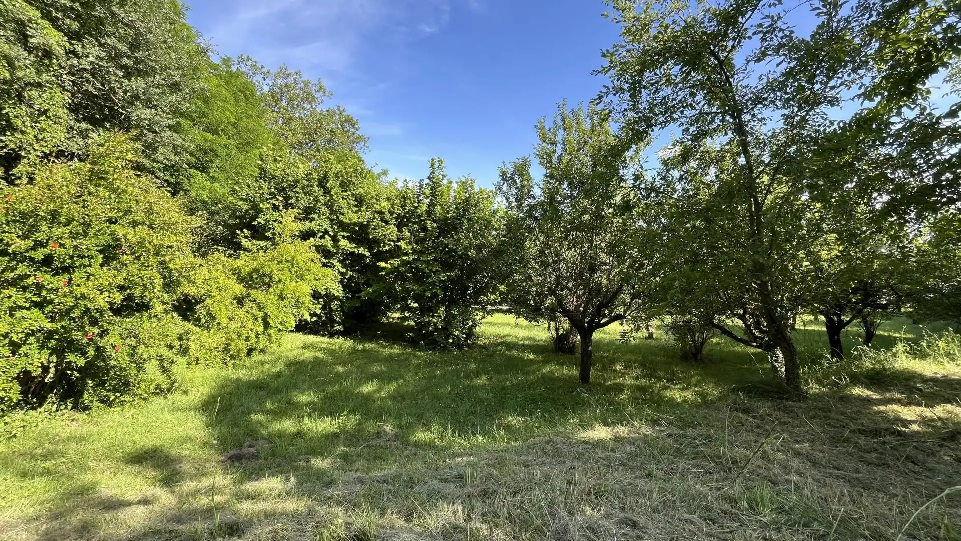 Casa o xalet en venda en Alpens
