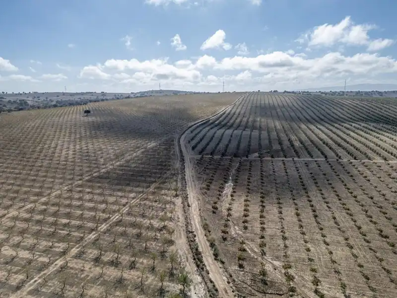 Terreni e lotti in vendita a Alamedilla, imagen 11