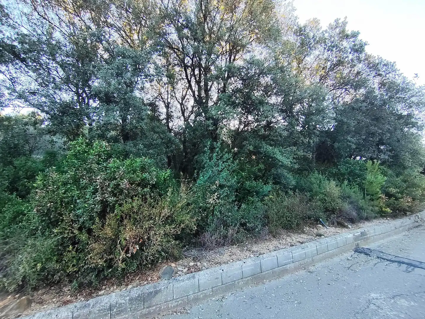 Terrenys i solars en venda a Sant Martí de Llémena, imagen 3
