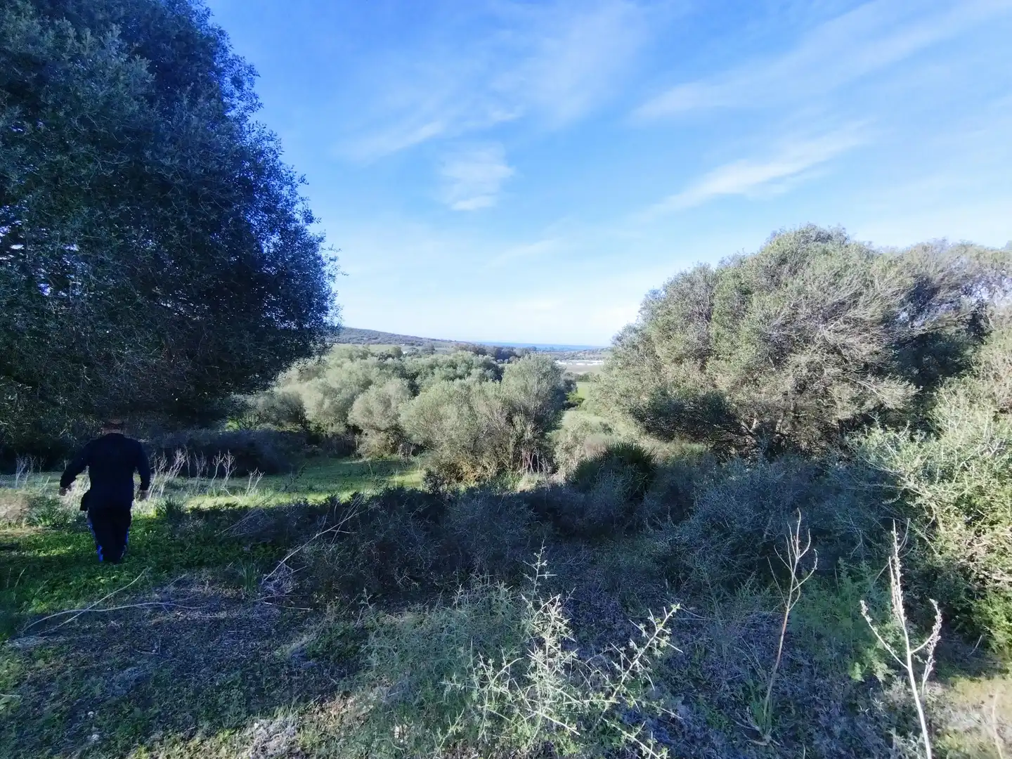 Terreno rustico in vendita a Carretera Arroyo San Ambrosio 385, imagen 15