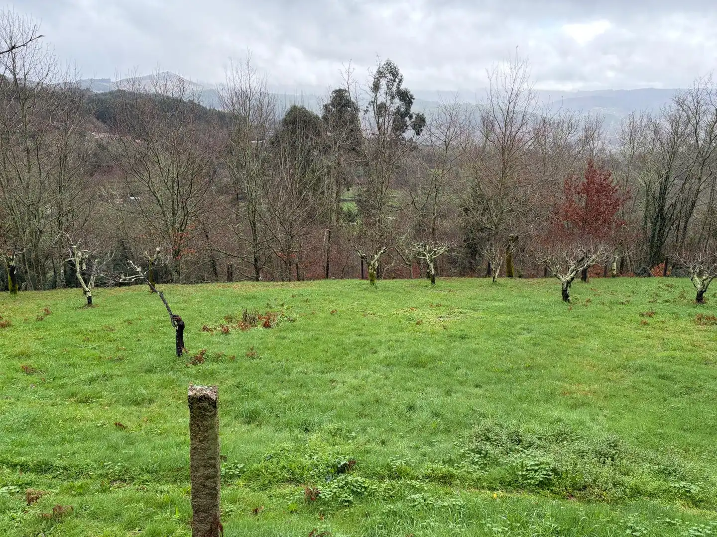 Casa en venta en Mondariz, imagen 10