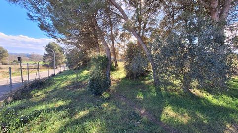 Parcella urbanitzable cantonera de 795 m2 a Sant Jaume Sesoliveres, imatge 3