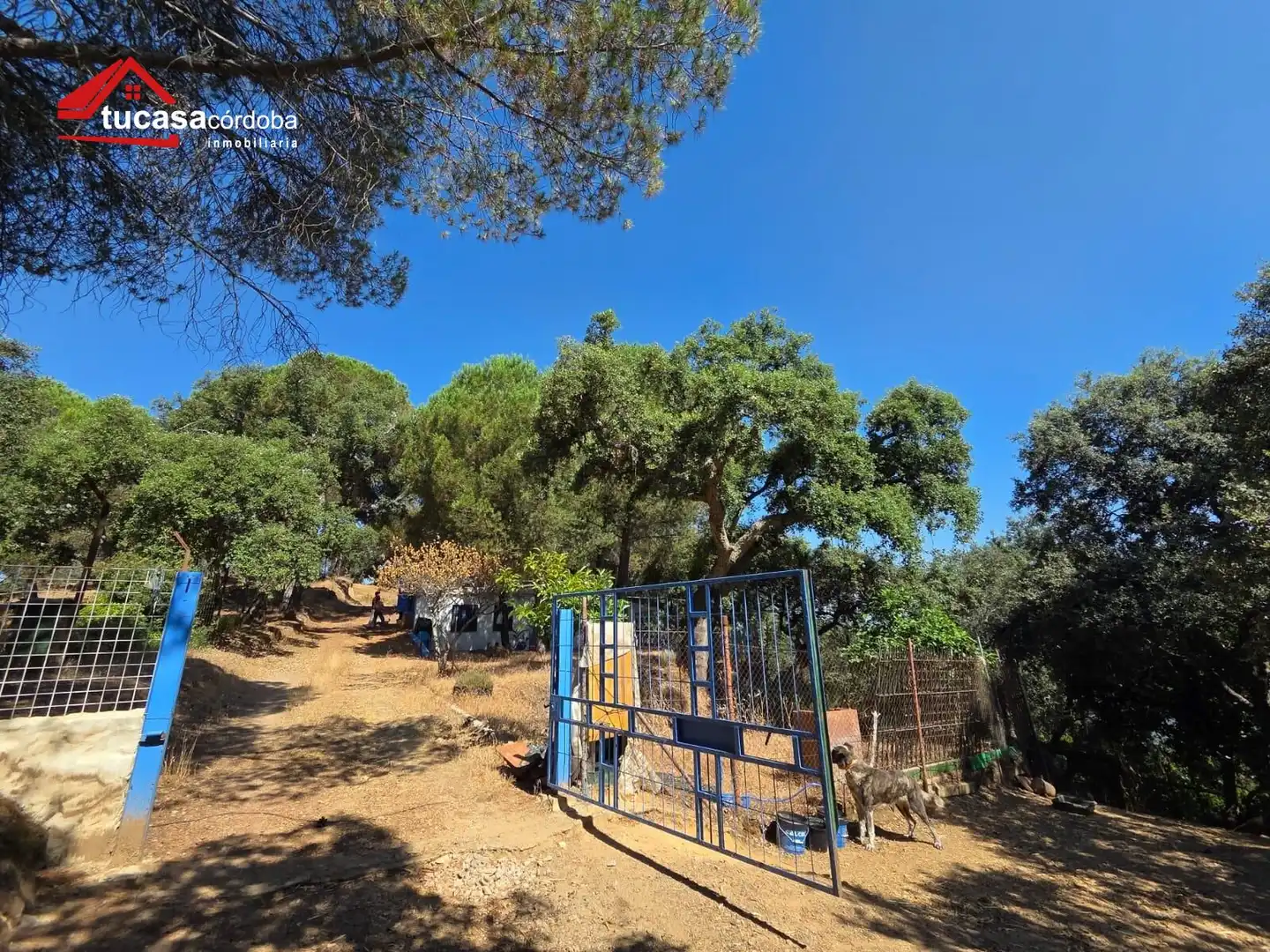 Maison rustique à vendre à Periurbano Oeste - Sierra, imagen 22