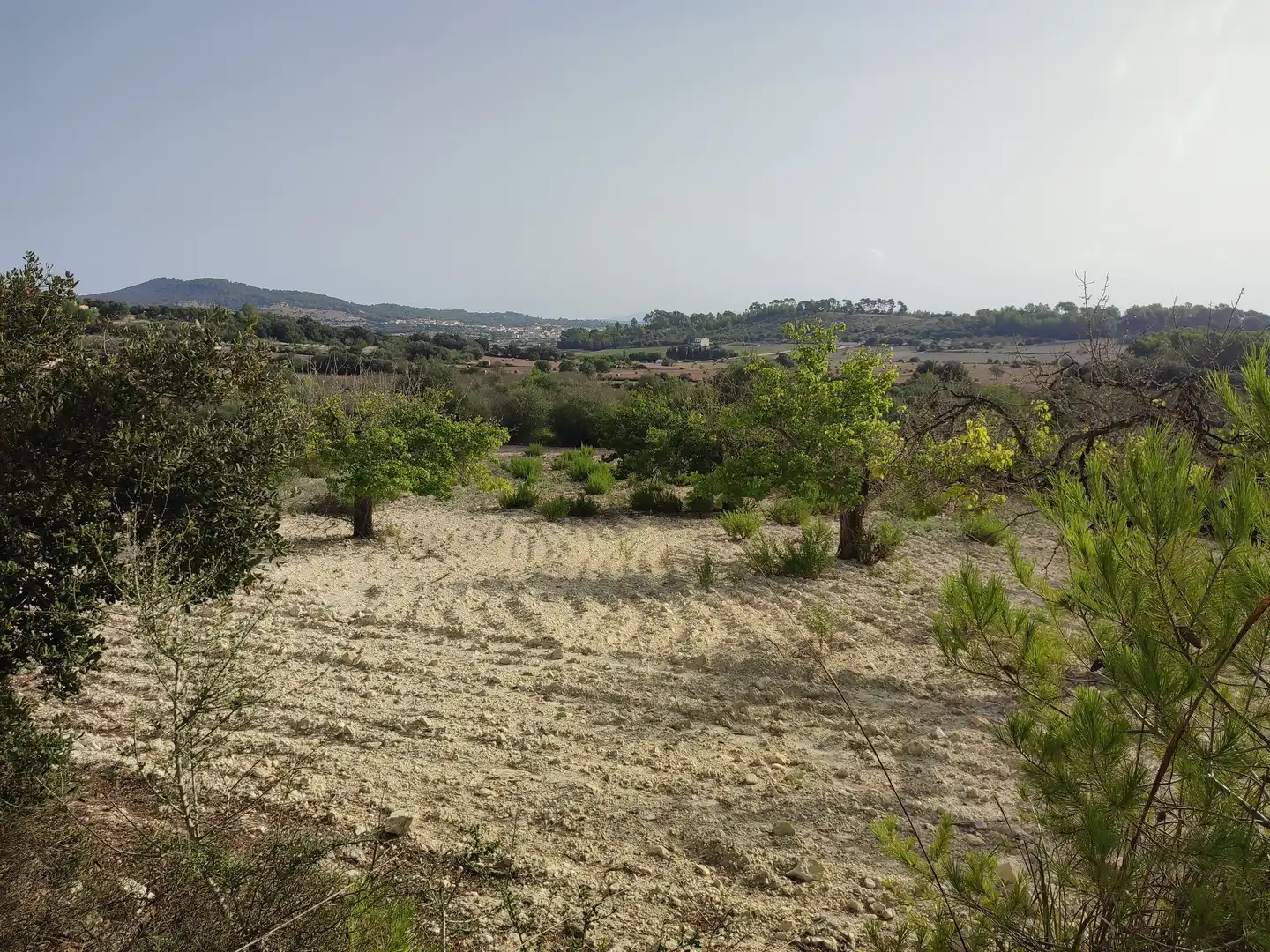 Terreny residencial en venda a Sant Joan, imagen 4