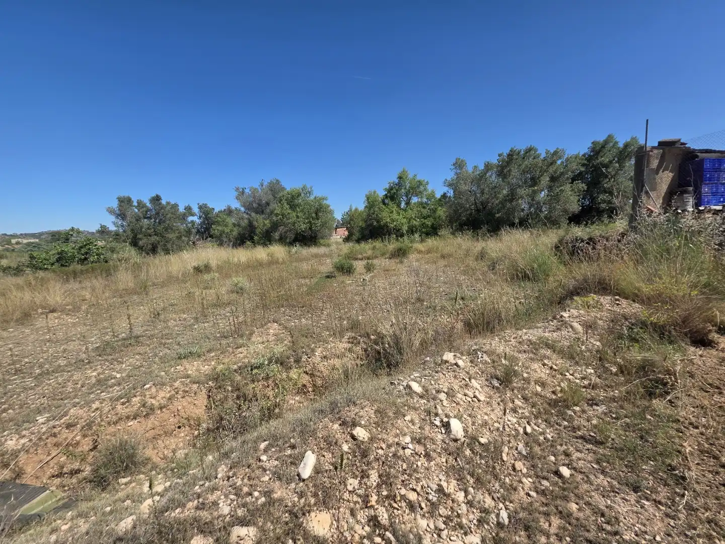 Rural land for sale in Vilamarxant, imagen 7