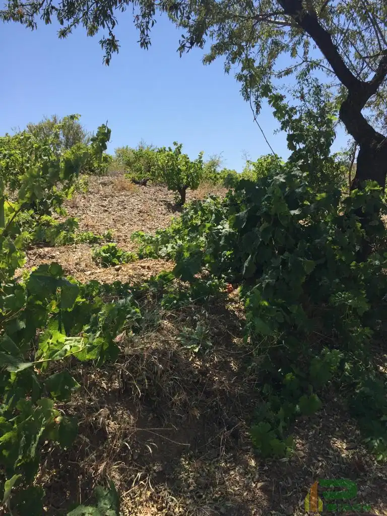 Terreni e lotti in vendita a Sierra de La Torrecilla, imagen 16