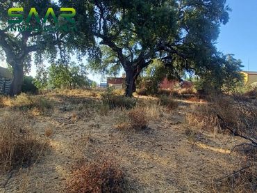 Terrenos y solares en venta en Castilblanco de los Arroyos