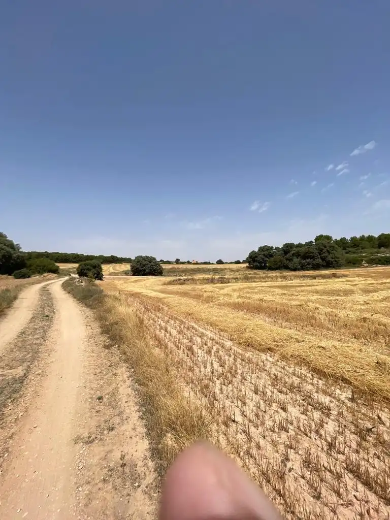 Casa rústica en venda a Almansa, imagen 36