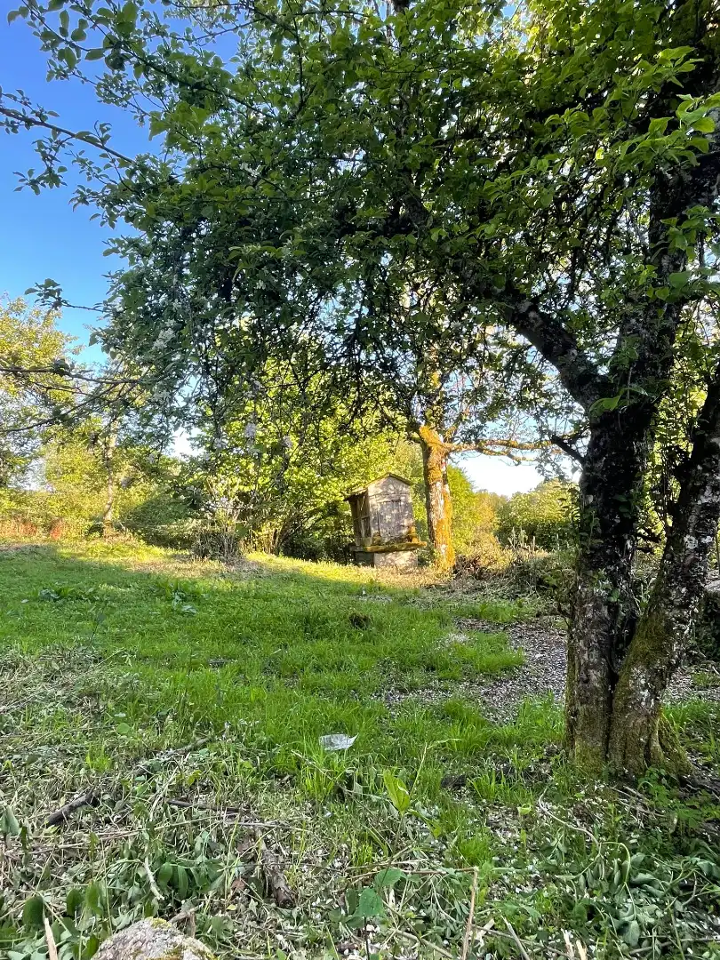 Finca rústica en venta en O Irixo con Calefacción, Jardín privado y Parquet