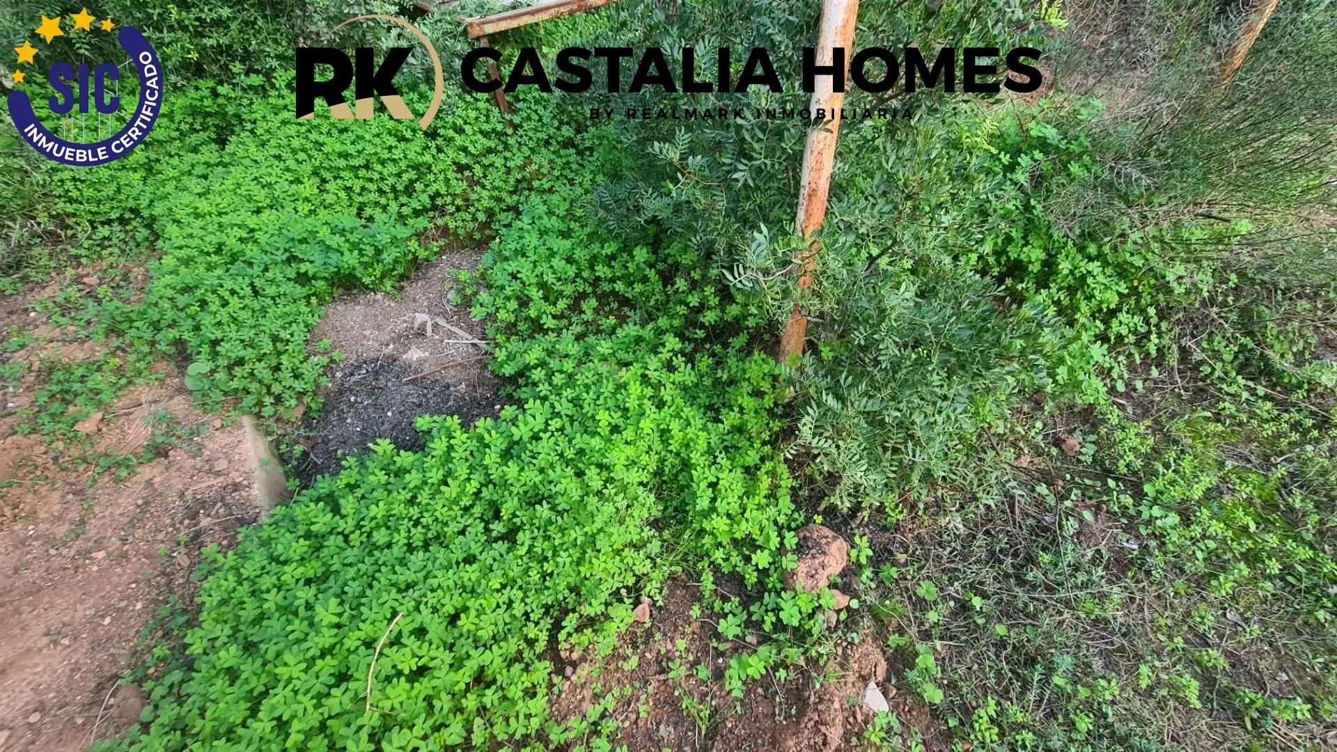 Casa o chalet en venta en Borriol con Jardín privado y Piscina