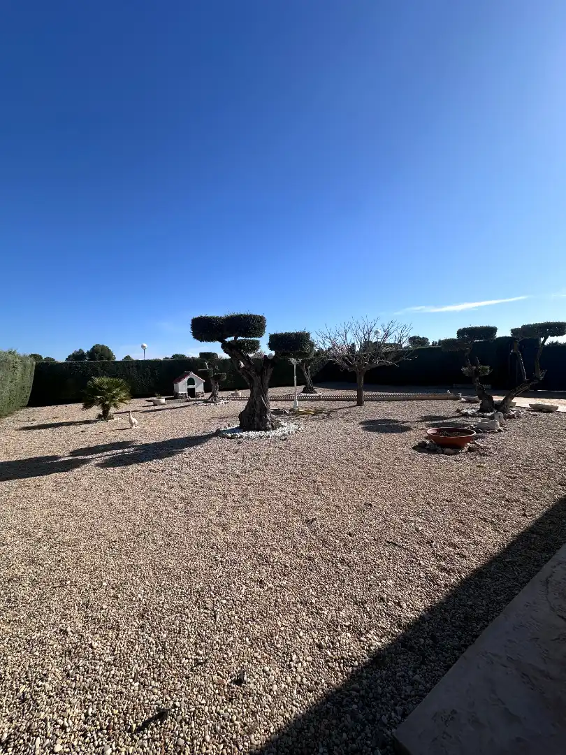 Jardín de Casa o chalet en venta en Illana con Aire acondicionado, Calefacción y Jardín privado
