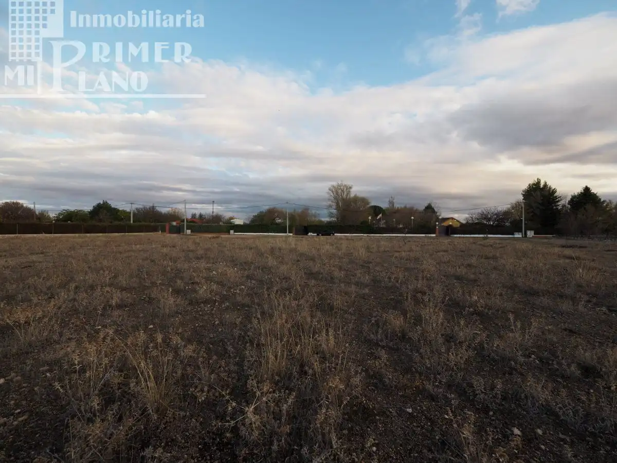 Finca rústica en venda en Argamasilla de Alba