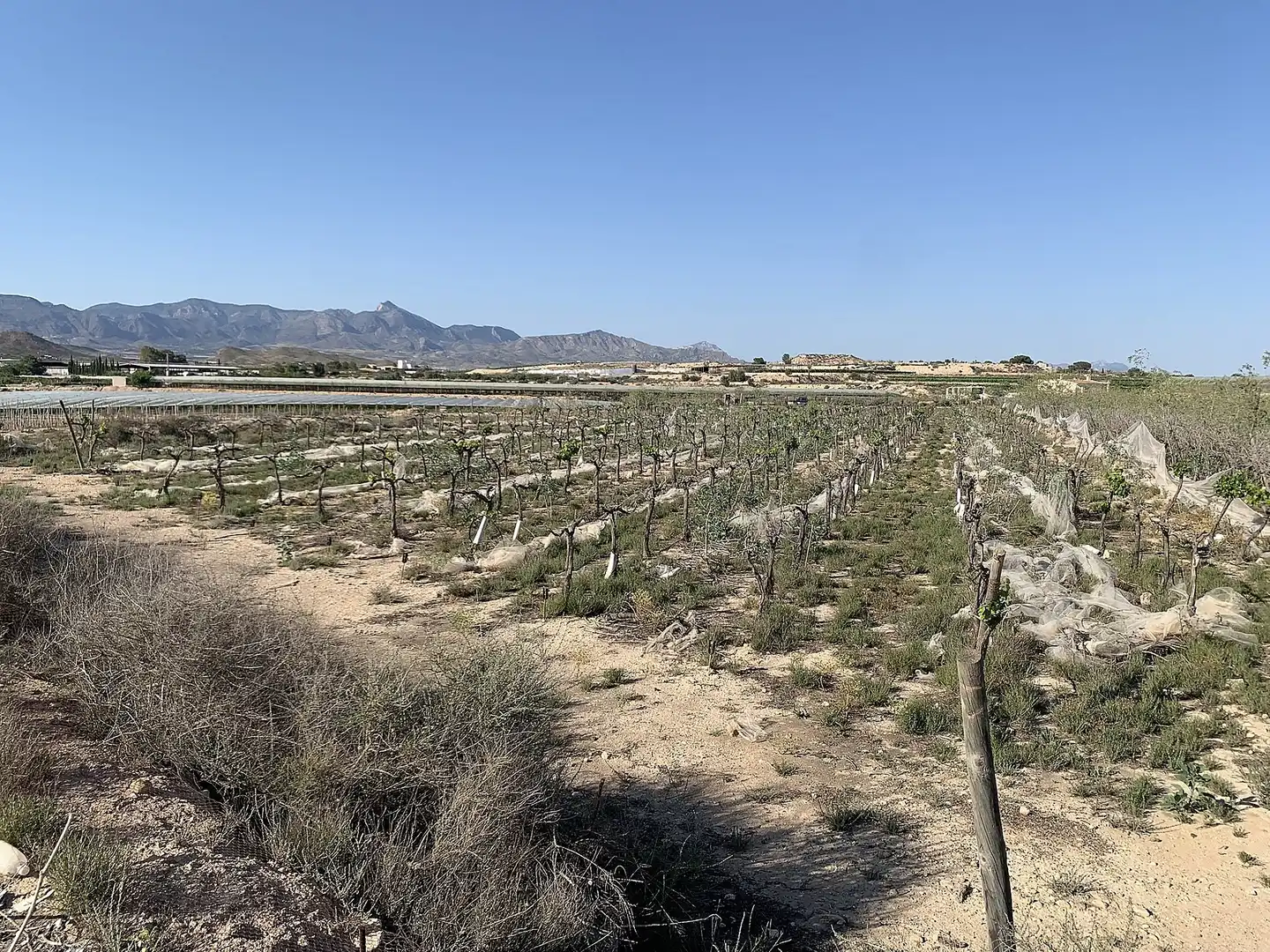 Terreno residencial en venta en Monforte del Cid, imagen 11