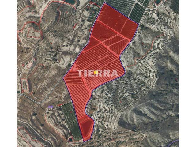 Terreno en Venta en Calle ricote en Ricote