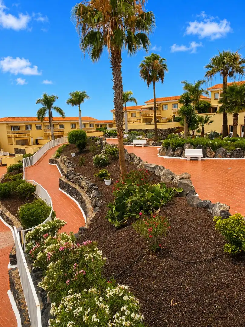 Terraza de Apartamento de alquiler en Arona con Terraza, Amueblado y Horno