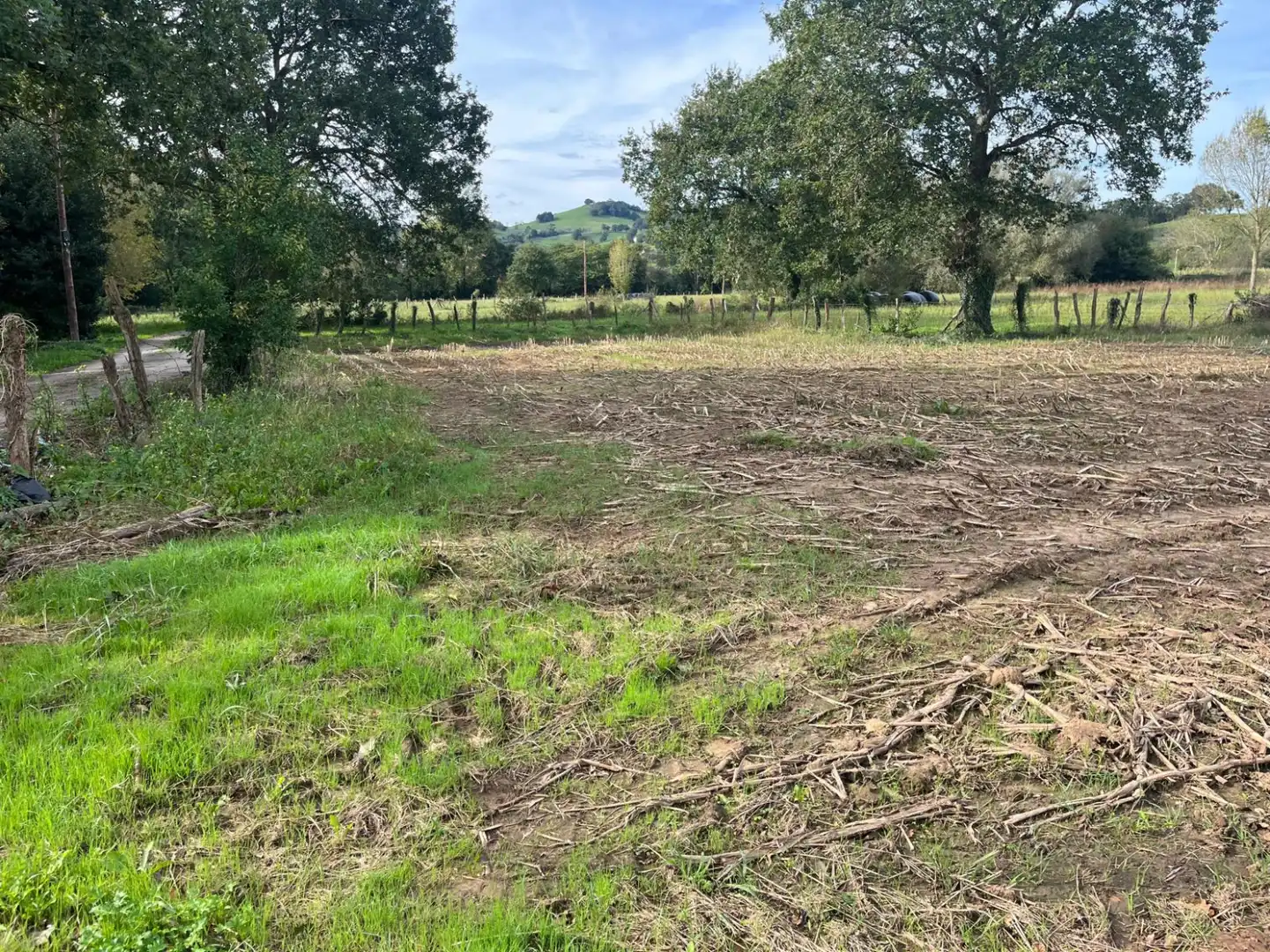 Terreno en venta en Hermosa - CAMPO REDONDO HERMOSA, Ceceñas - Hermosa