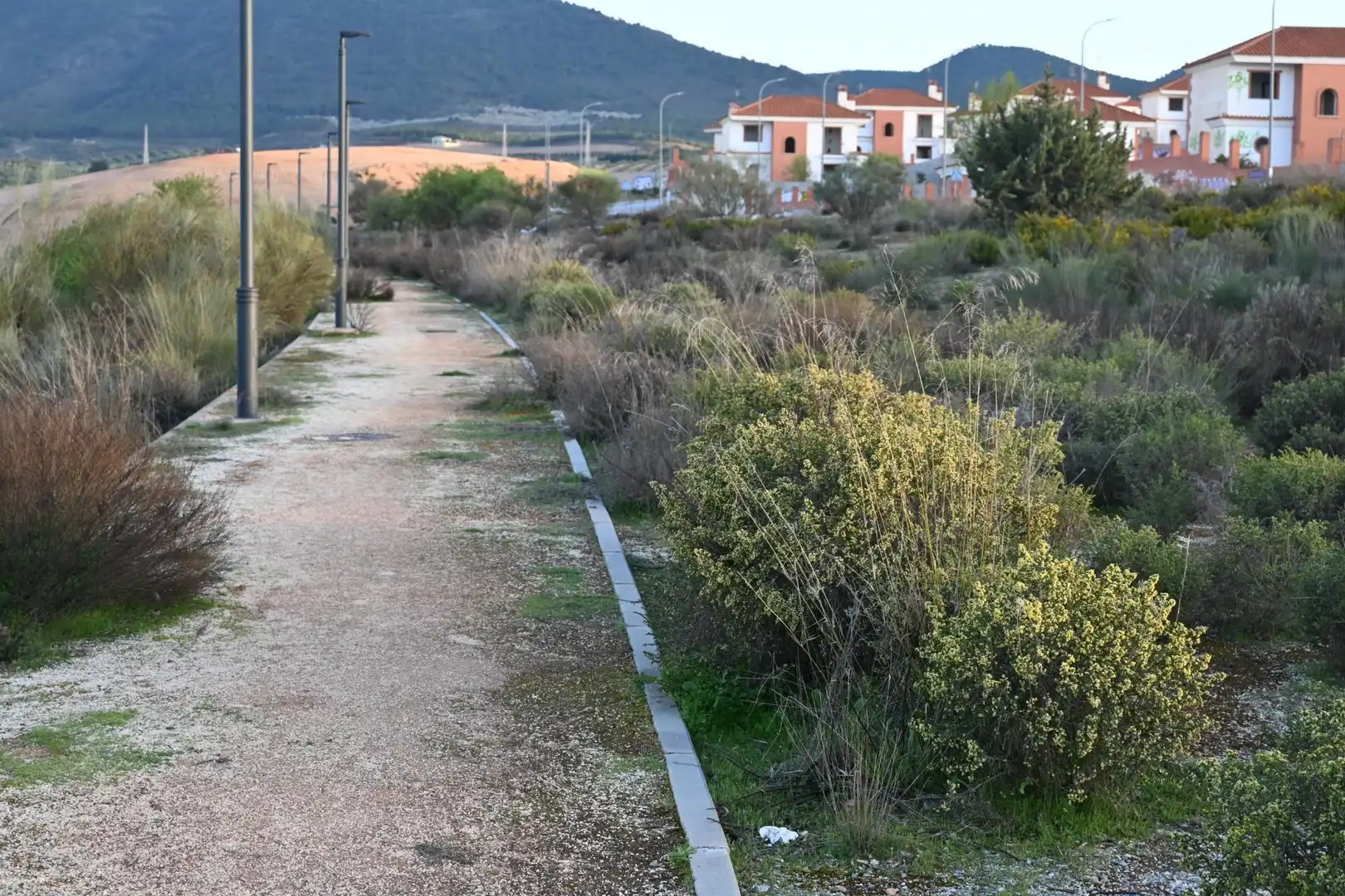 Terreni e lotti in vendita a Calle Abelia 13, imagen 14
