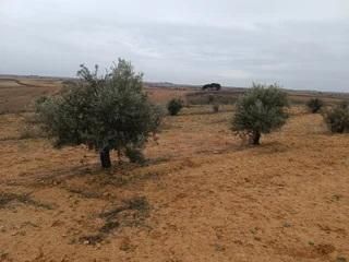 Residencial en venda en Horcajo de Santiago