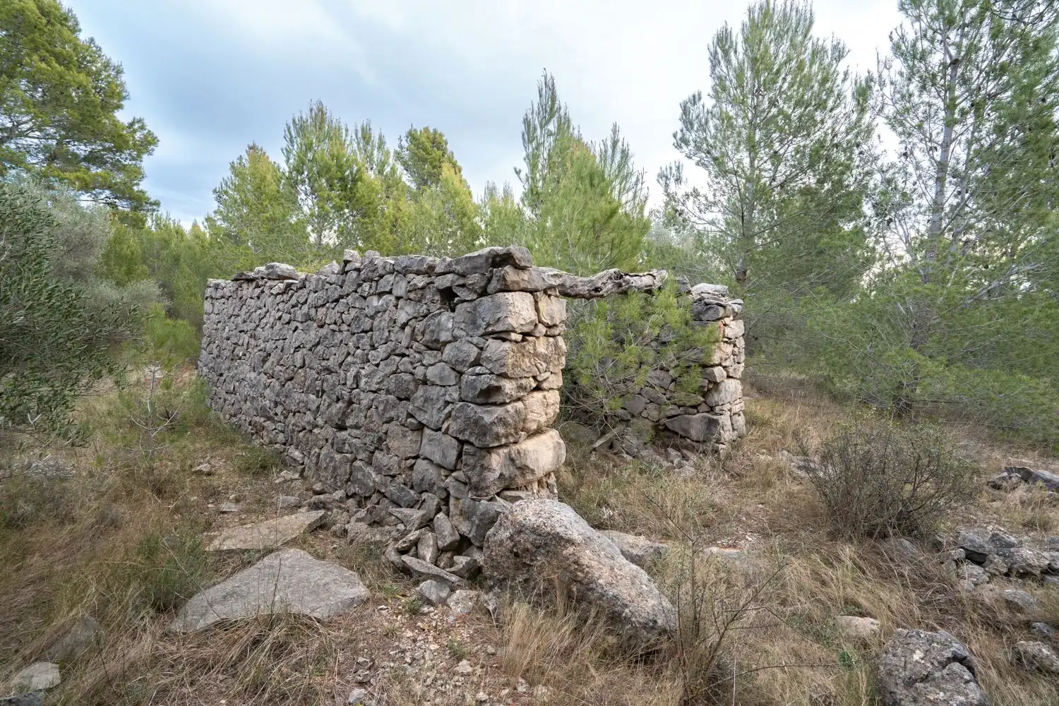 Grundstücke zum Verkauf in Canet lo Roig