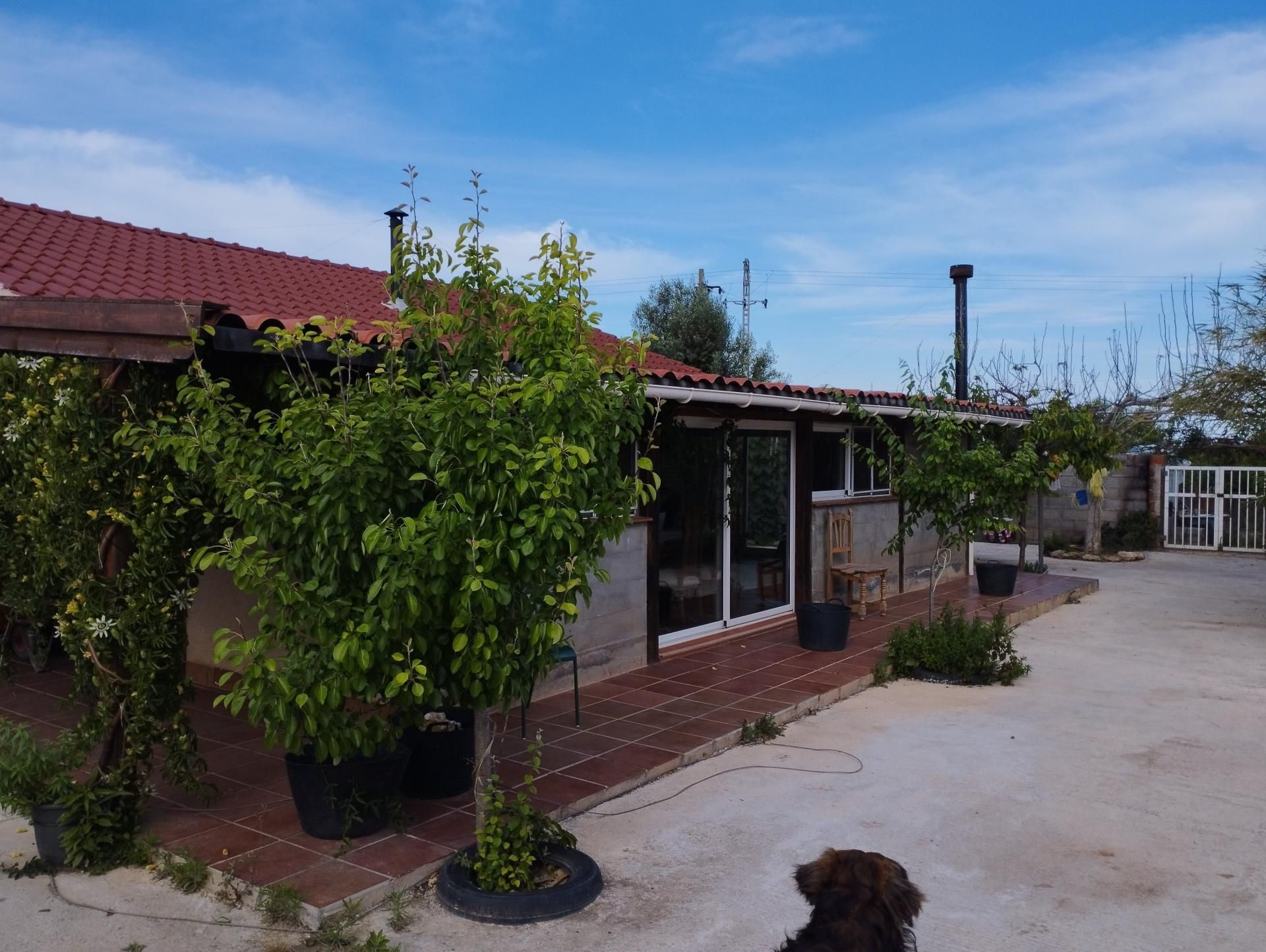 Jardí de Finca rústica en venda en Vinaròs amb Terrassa i Piscina