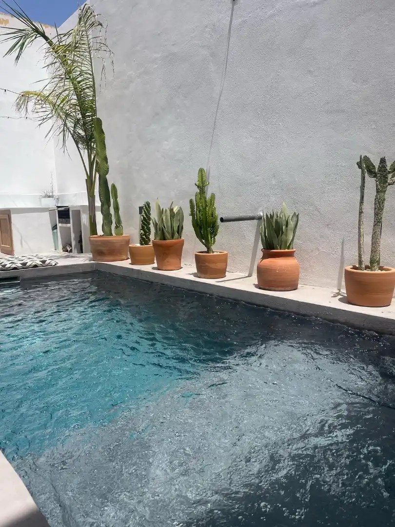 Piscina de Casa adosada en venda en Tarifa amb Jardí privat, Terrassa i Piscina