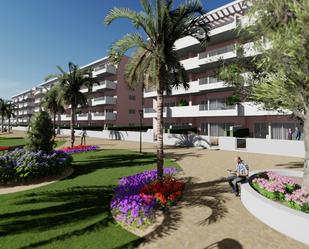 Vista exterior de Estudi en venda en Guardamar del Segura amb Piscina comunitària
