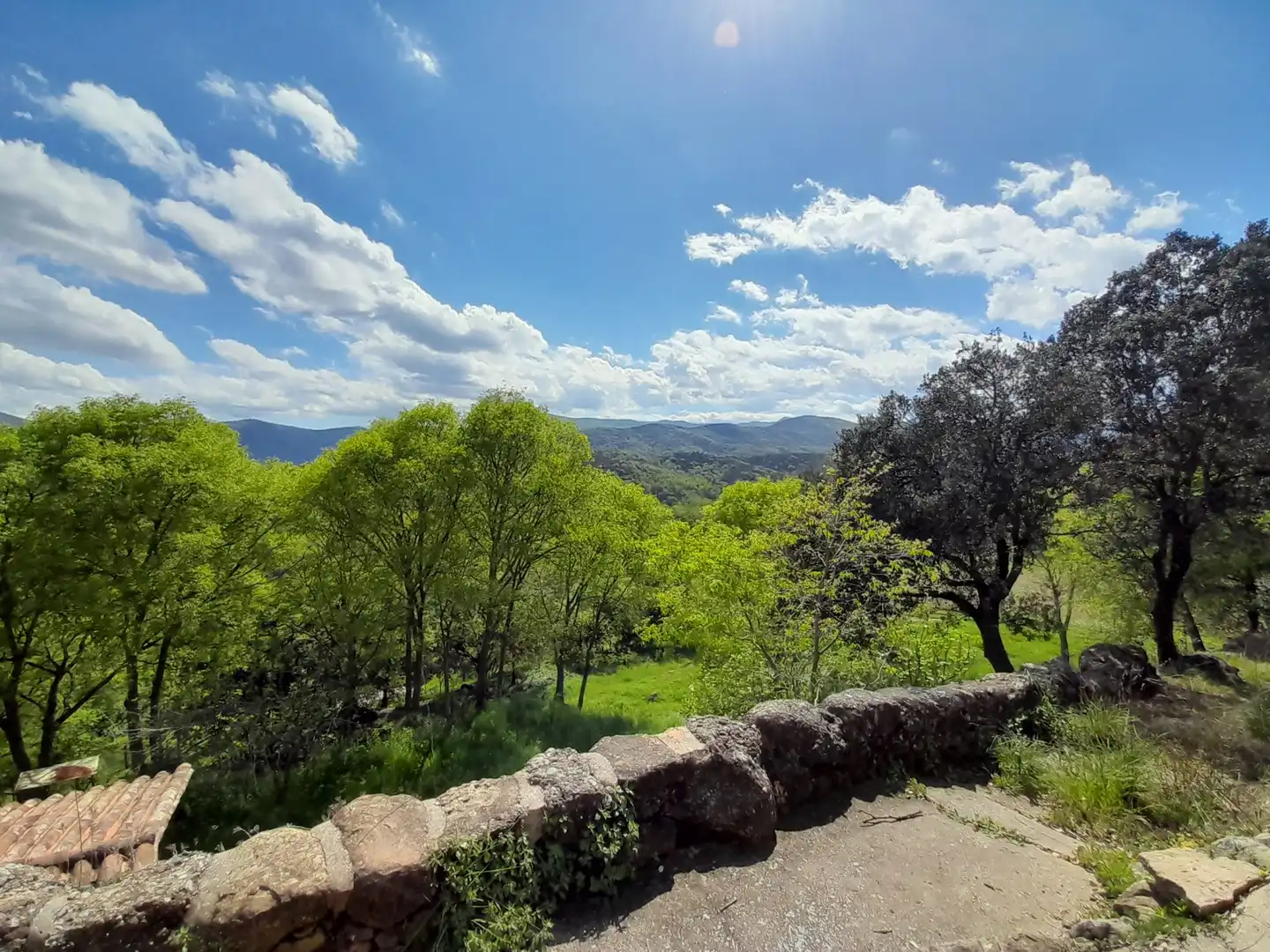 Jardín de Finca rústica en venta en La Vall de Bianya con Calefacción, Terraza y Trastero