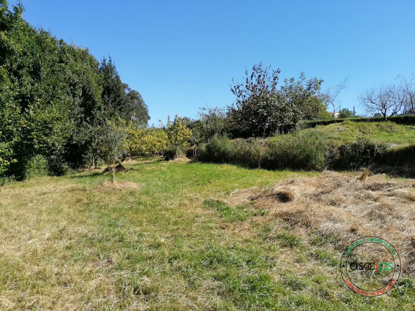 Terreno rustico in vendita a Lugar el Fonduxu, imagen 2