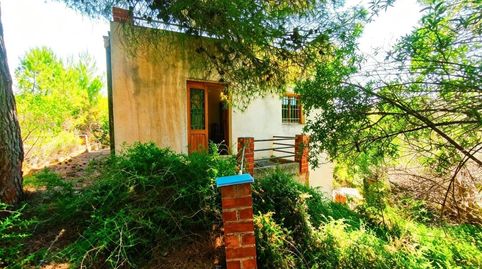 Foto 3 de Finca rústica en venta en Cabanes, Castellón