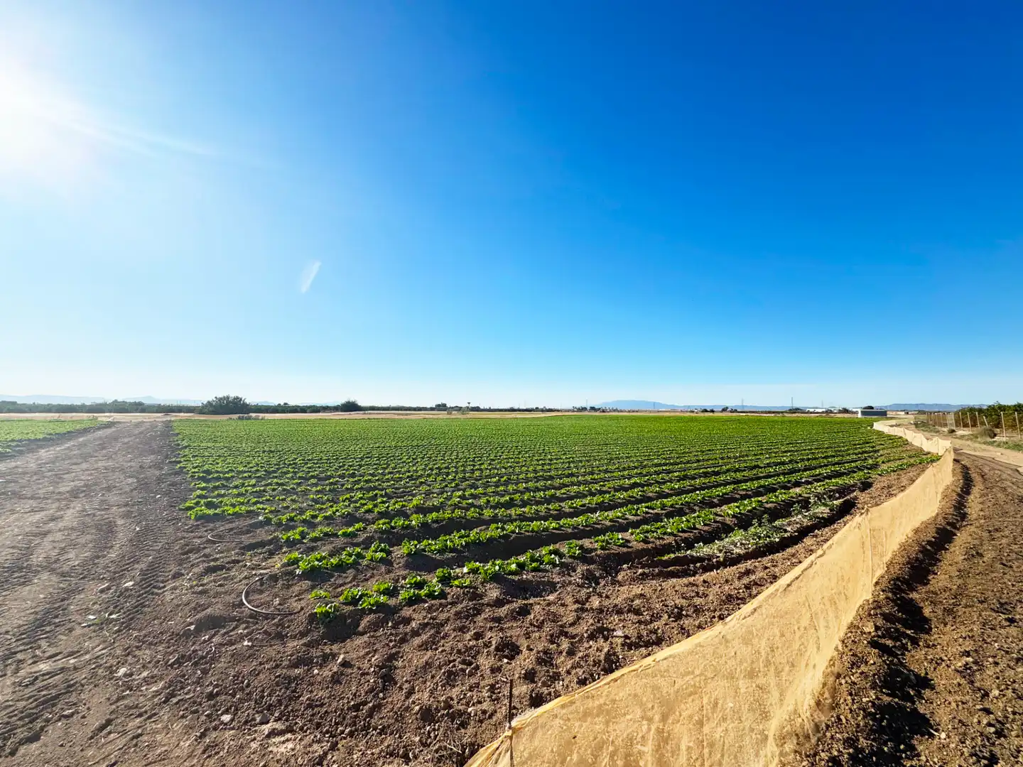 Lands and plots for sale in Diseminado Meroños 175, imagen 15