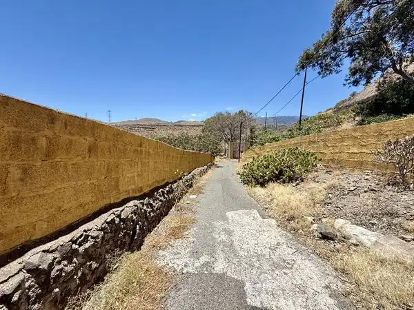 Rural land for sale in Calle Araucaria 13, imagen 4