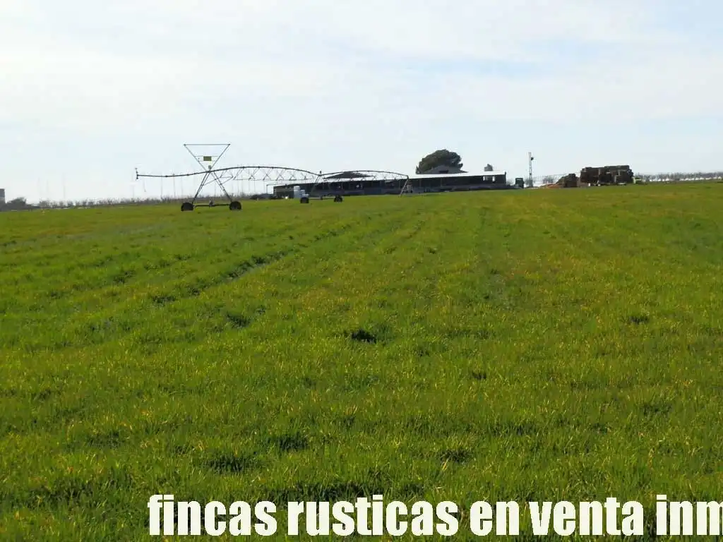 Terreny rústic en venda a Manzanares, imagen 15