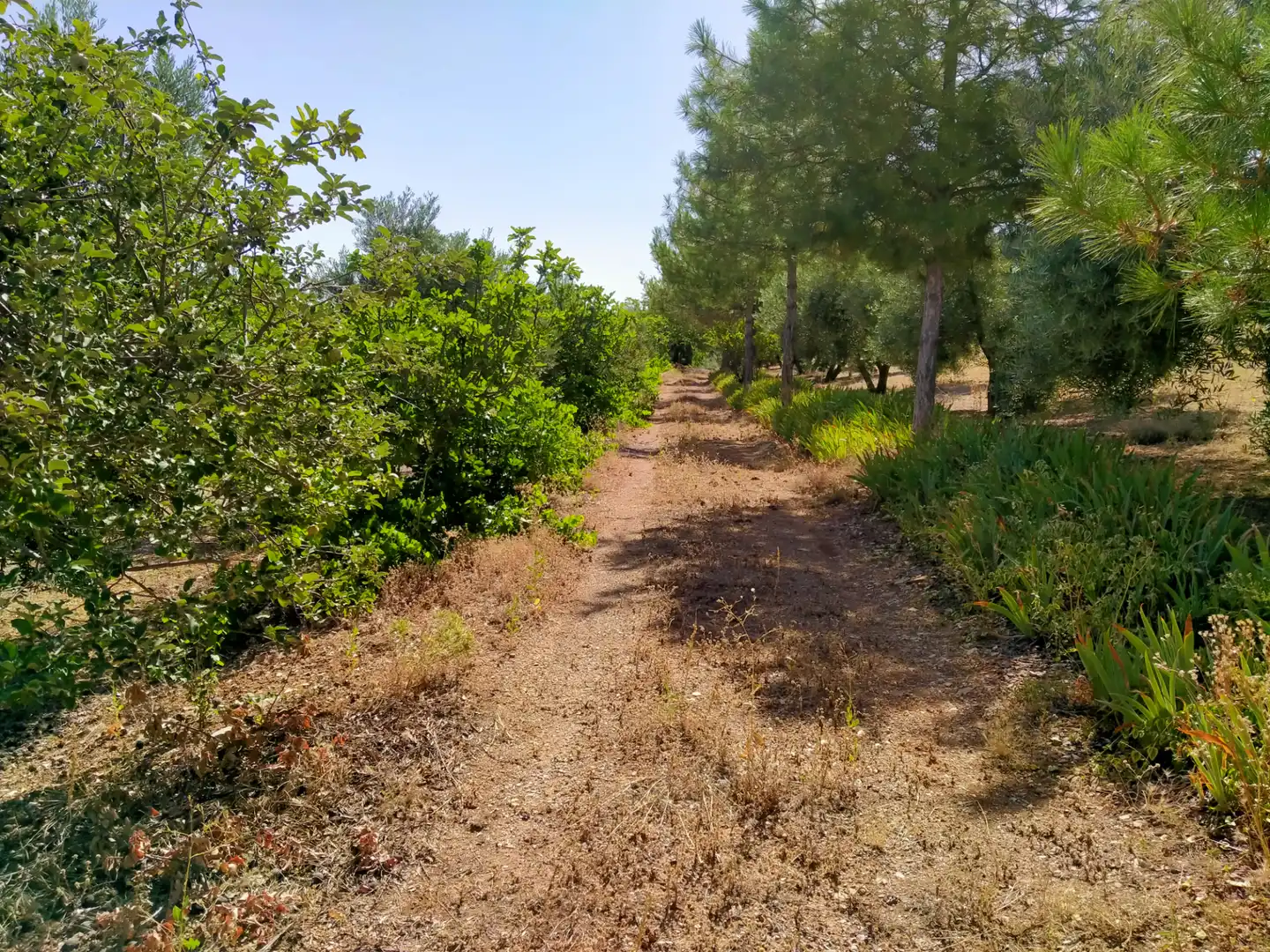 Rural land for sale in Calle Medina del Campo, imagen 4