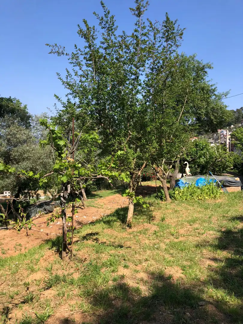 Terreno residenziale in vendita a Sant Vicenç Dels Horts, imagen 7