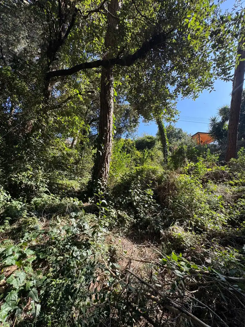 Grundstücke und Bauplätze zum Verkauf in Carrer de Lluis Millet 16, imagen 29