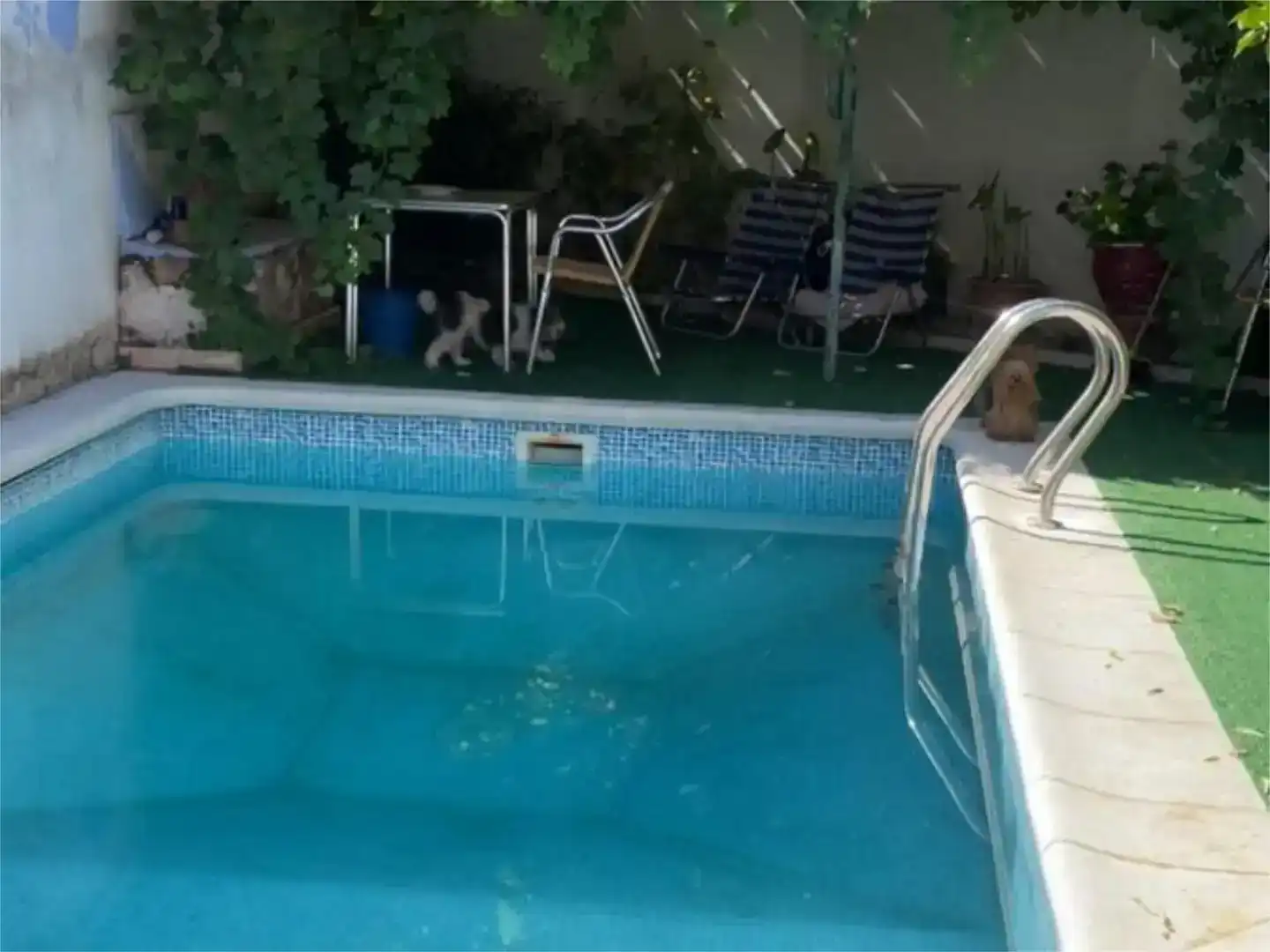 Piscina de Casa o xalet en venda en Aldea del Cano amb Aire condicionat, Jardí privat i Traster