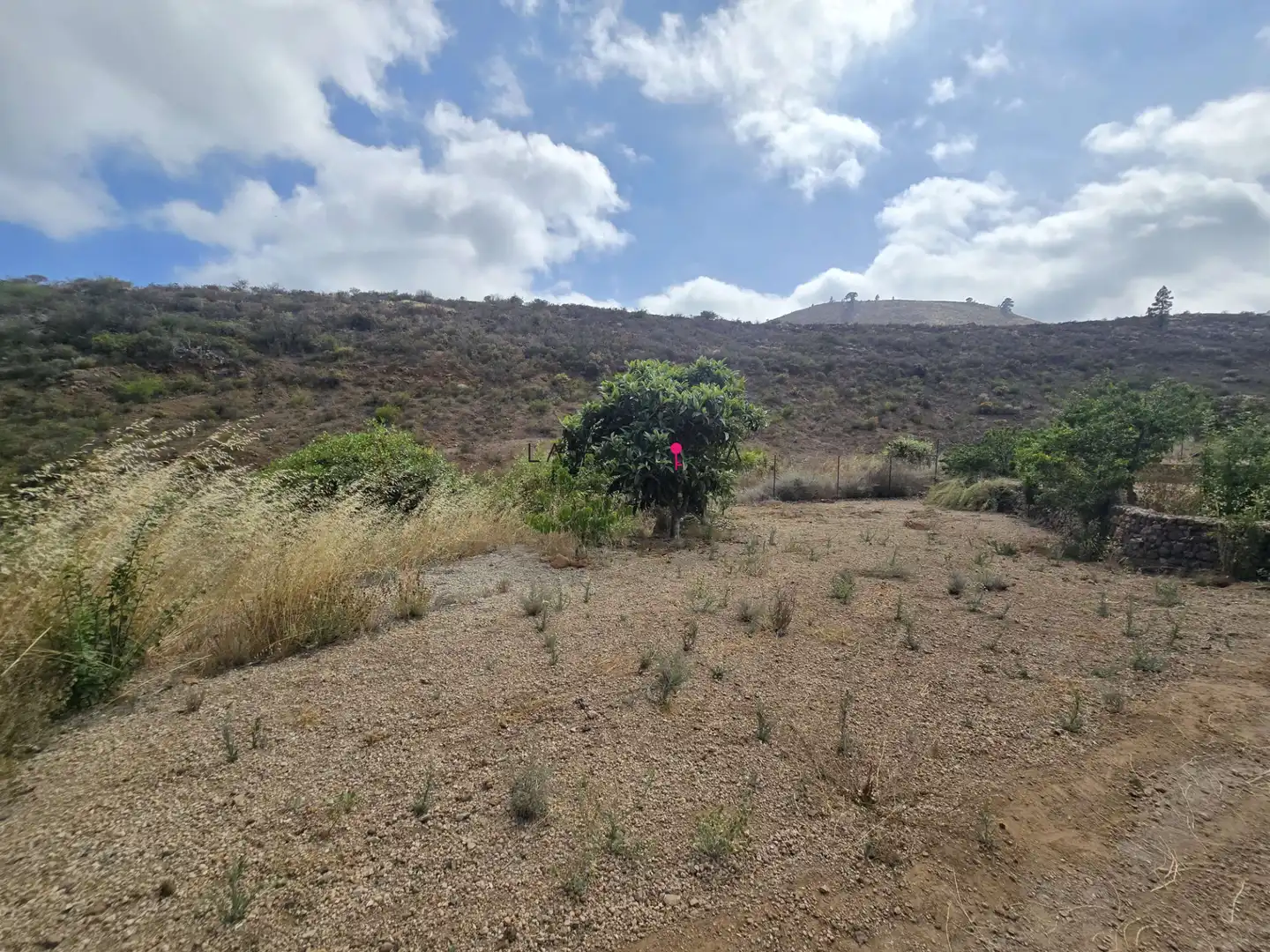 Terreno en venta en Cruz de Tea