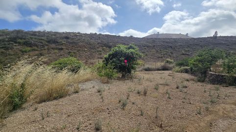 Foto 5 de Terreno en venta en Calle Zurrones, 11, Cruz de Tea, Granadilla de Abona