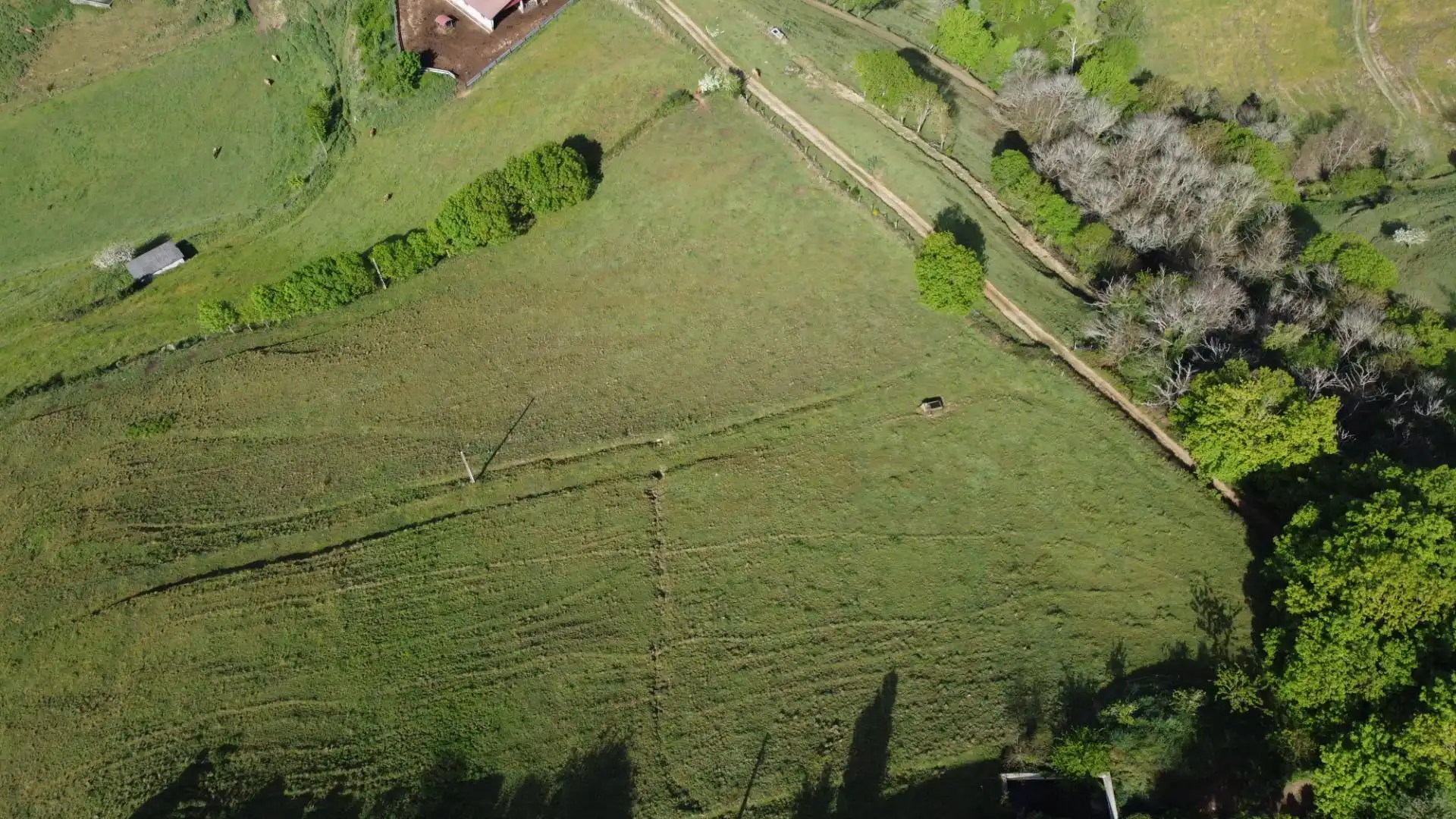 Casa o xalet en venda en Cangas del Narcea amb Calefacció, Terrassa i Moblat