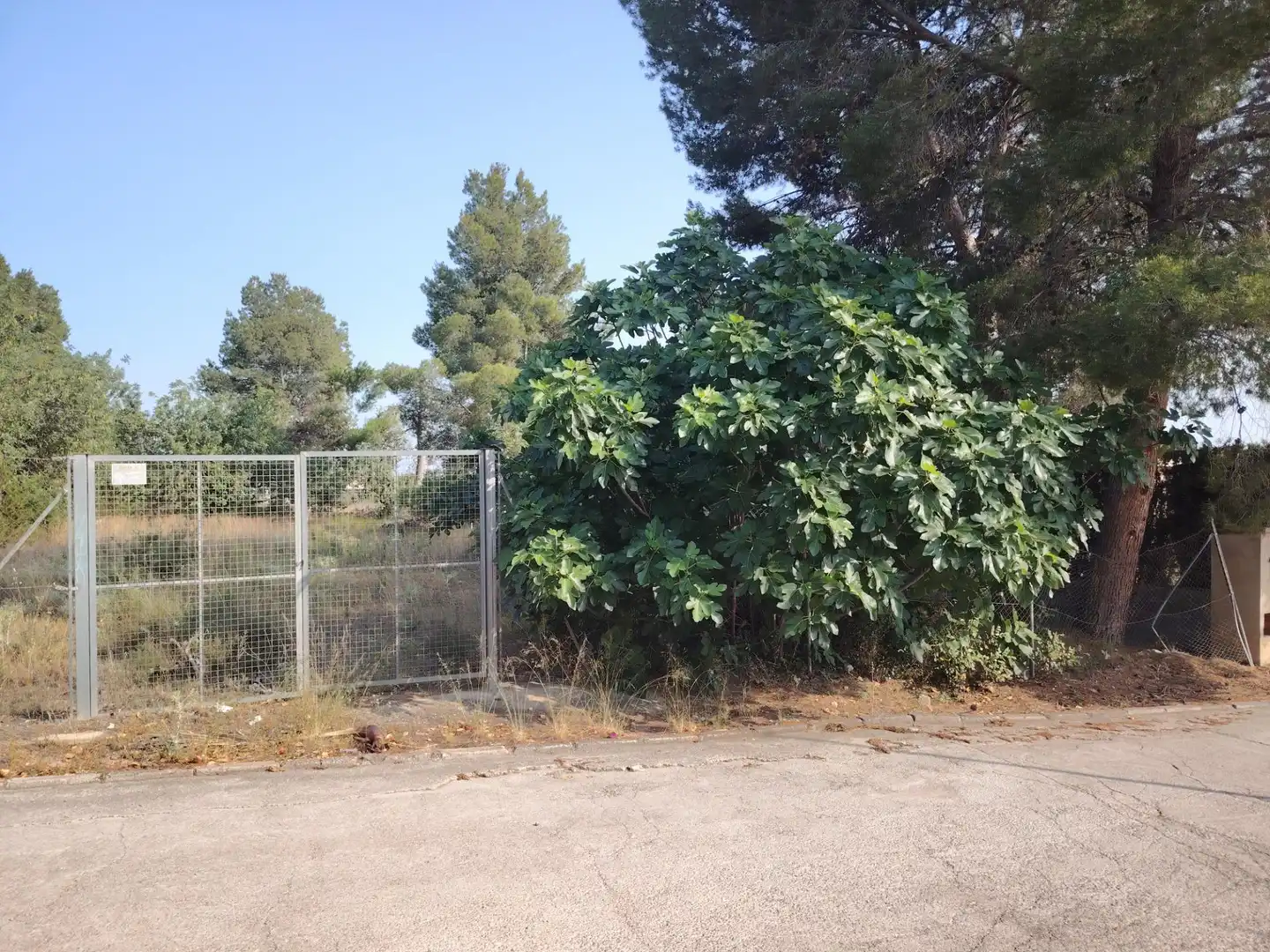 Residential land for sale in Parque de la Bombilla, imagen 2